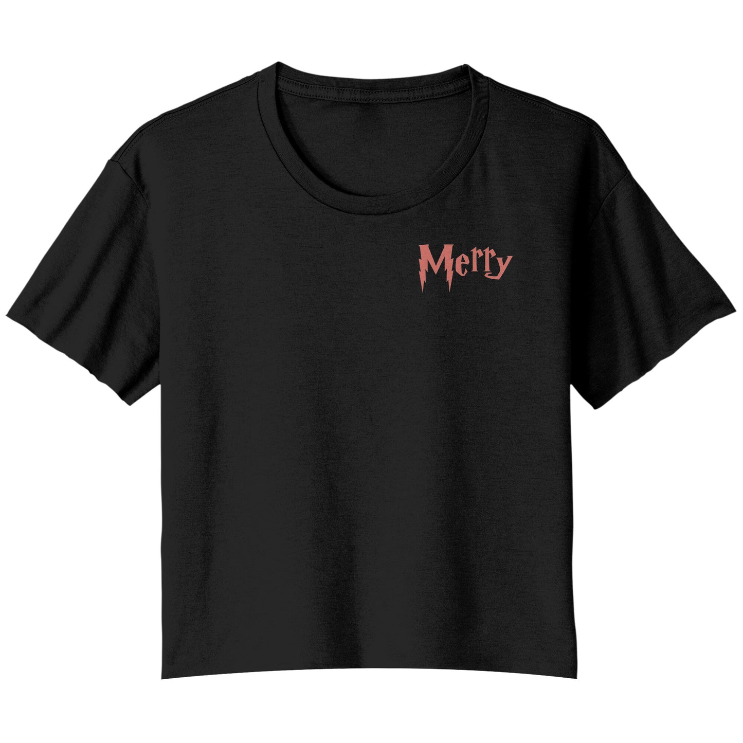 Merry Christmas Cropped Tshirt, Wizard Christmas Cropped Shirt, Wizard School Shirt