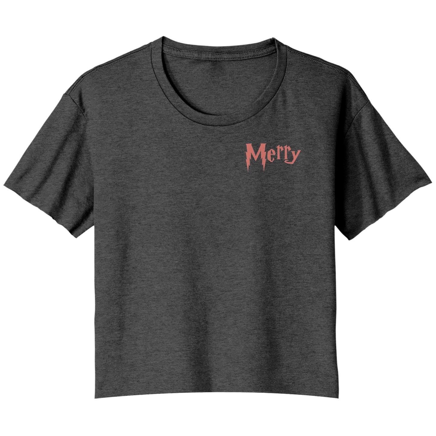 Merry Christmas Cropped Tshirt, Wizard Christmas Cropped Shirt, Wizard School Shirt